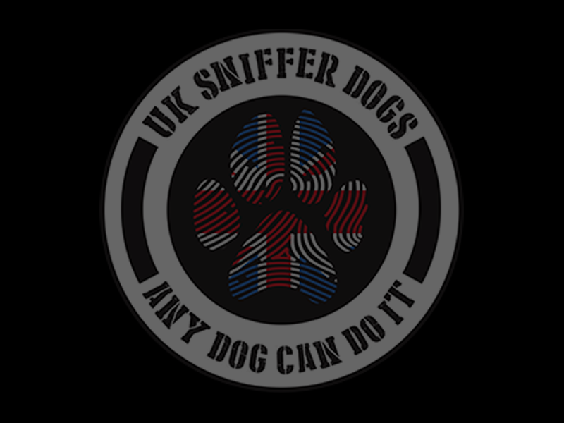 The Importance of Focusing on the Search in Scent Detection Training