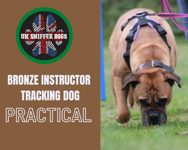 Tracking Instructors Course BRONZE (PRACTICAL)
