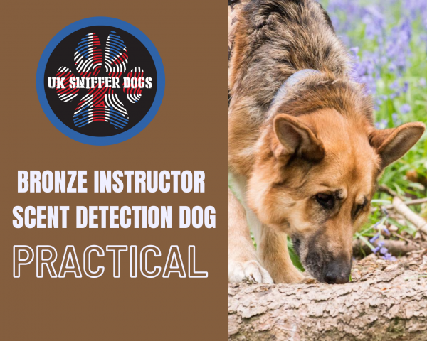 Detection Dog Instructor Course BRONZE (PRACTICAL)