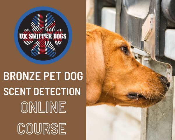Bronze Online Scent Detection Course