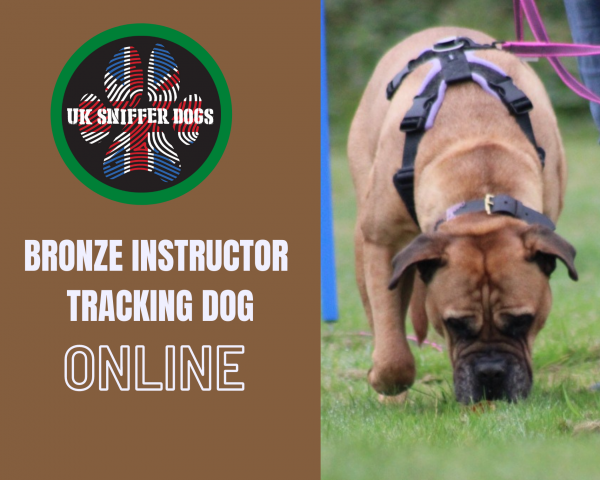 Tracking Instructors Course BRONZE (ONLINE)