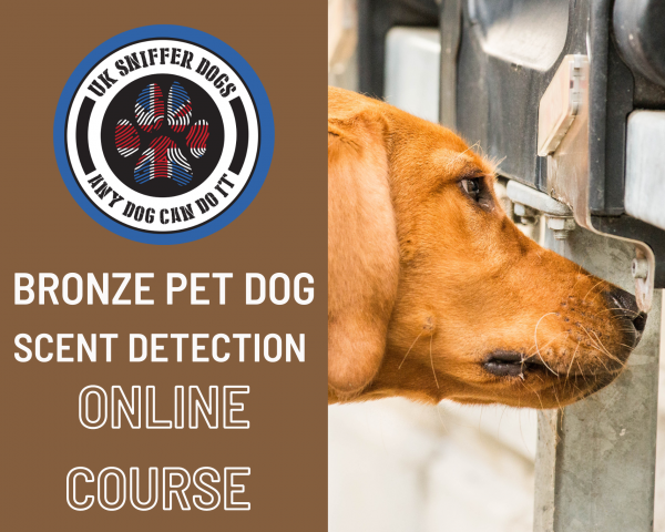 Bronze Online Scent Detection Course