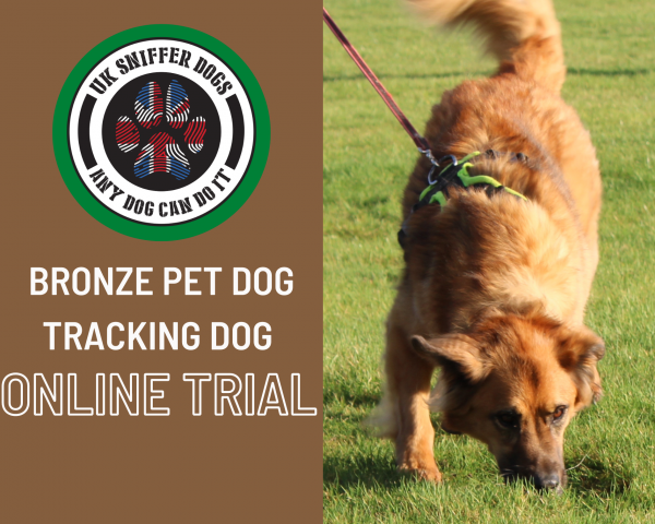 Bronze Online Tracking Trial