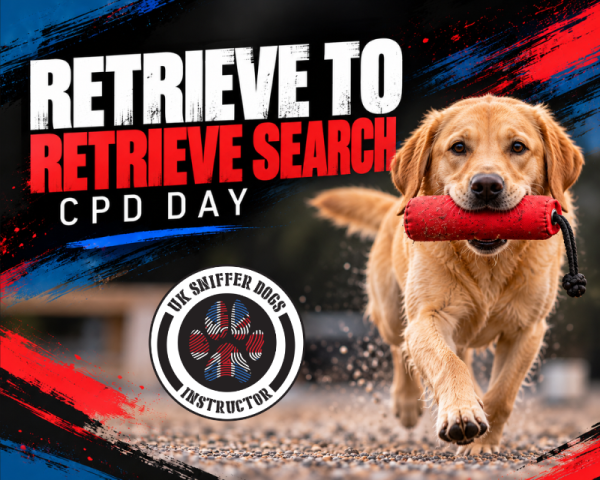 Retrieve To Retrieve Search Workshop