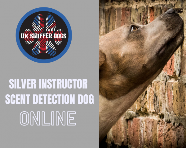 Detection Dog Instructor Course SILVER ( ONLINE )