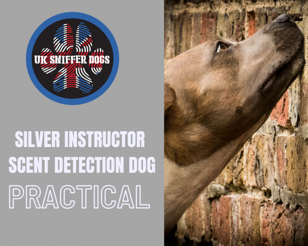 Detection Dog Instructor Course SILVER (PRACTICAL)