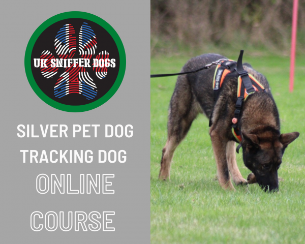 Silver Online Tracking Course