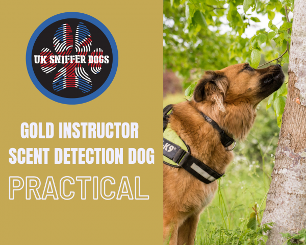 Detection Dog Instructor Course GOLD (PRACTICAL)