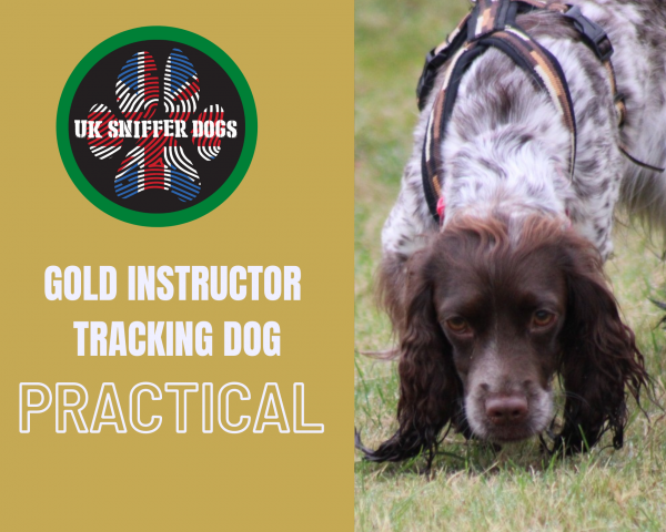 Tracking Instructor course GOLD (PRACTICAL)