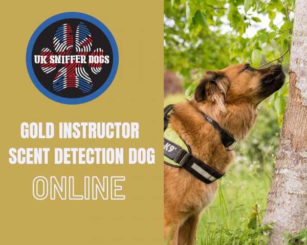 Detection Dog Instructor Course GOLD ( ONLINE )