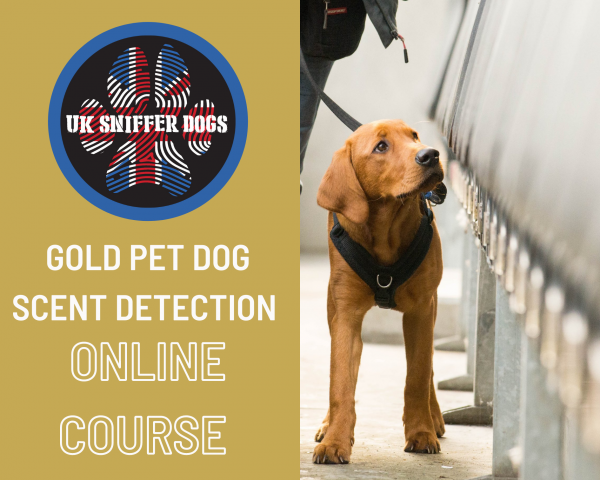 Gold Online Scent Detection Course