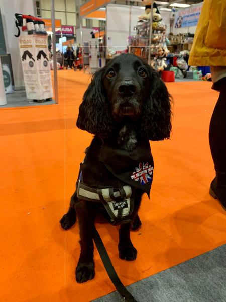 UK Sniffer Dogs K9 Bandanna