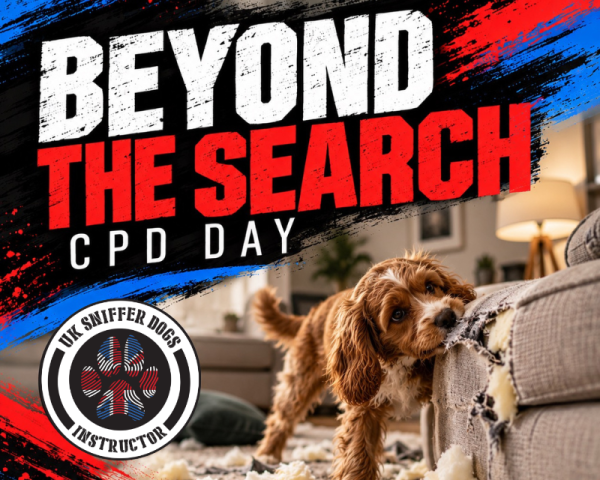 Beyond The Search - CPD Day