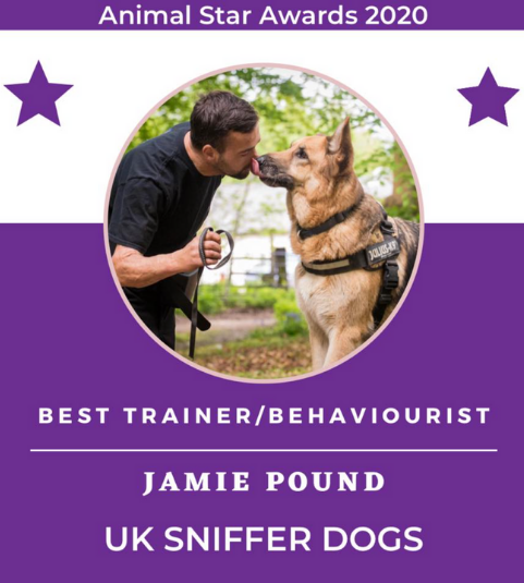 7 Types Of Dog Training: Which Method Is Best?